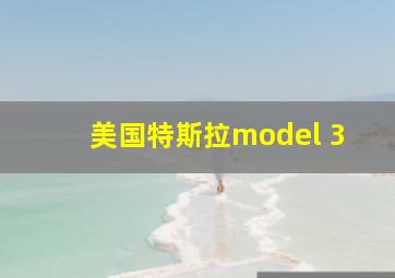 美国特斯拉model 3